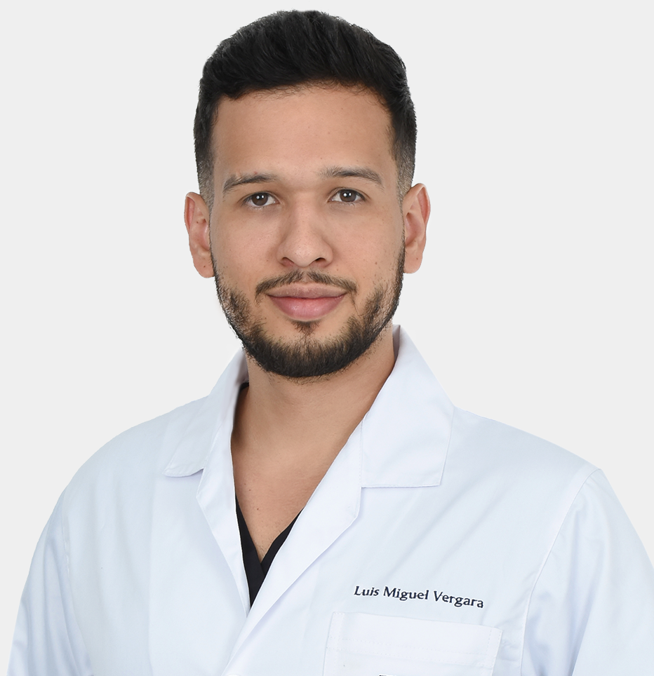 vergara luis miguel png